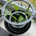 Rankhilfe cho cây trồng (hệ cắm, mở rộng) - Rankhilfe für Pflanzen - Thumbnail 3