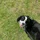xoxoyeppers_2789924
