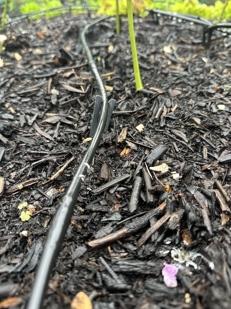 Cọc Ghim Vườn Cho Ống Tưới Nhỏ Giọt (Garden Drip Stake) - Image 1