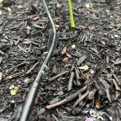 Cọc Ghim Vườn Cho Ống Tưới Nhỏ Giọt (Garden Drip Stake)