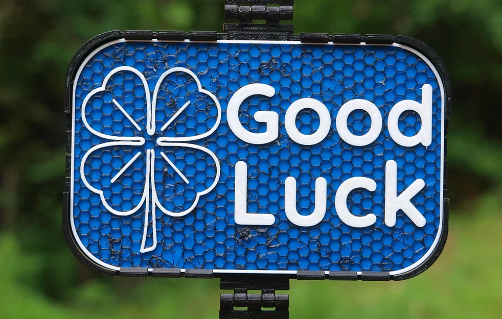 Bảng hiệu “Good Luck” (móng ngựa / cỏ bốn lá) - Image 1