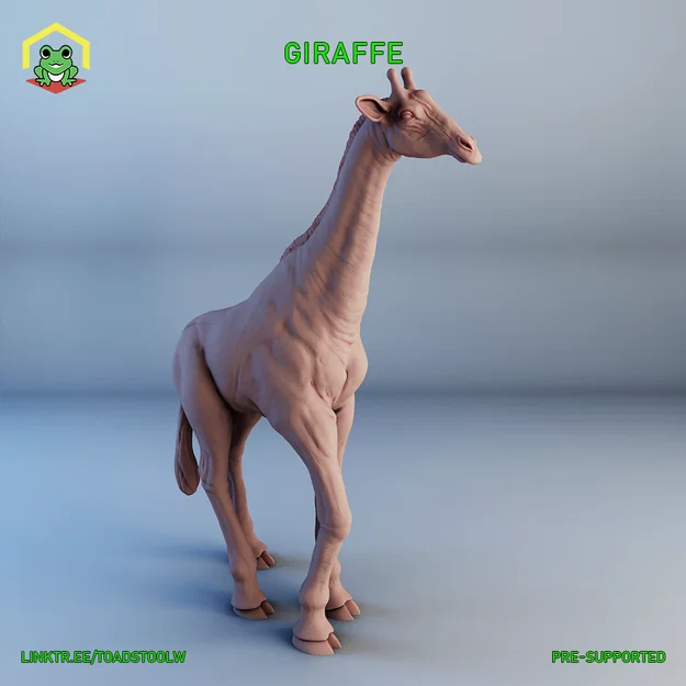 Hươu Cao Cổ (Giraffe) - Image 1
