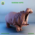 Hà Mã Chạy Bộ (Running Hippo) - Thumbnail 1