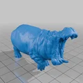 Hà Mã Chạy Bộ (Running Hippo) - Thumbnail 2