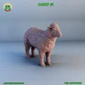 Mô hình chú cừu - sheep -1 - Thumbnail 1