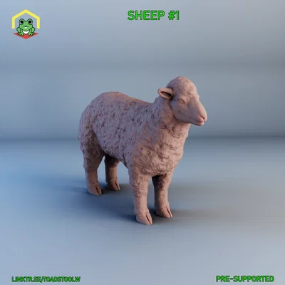 Mô hình chú cừu - sheep -1