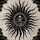 Mach1monkey_1760574