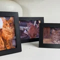 Khung ảnh / Khung trưng bày (Photo frame / Exhibition frame) - Thumbnail 1