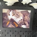 Khung ảnh / Khung trưng bày (Photo frame / Exhibition frame) - Thumbnail 2