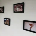 Khung ảnh / Khung trưng bày (Photo frame / Exhibition frame) - Thumbnail 7