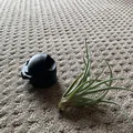 Mô hình phi hành gia trồng cây không khí độc đáo (Air Plant Astronaut) - Thumbnail 1