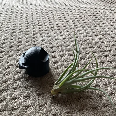 Mô hình phi hành gia trồng cây không khí độc đáo (Air Plant Astronaut)