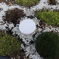 Nắp Olla cho chậu đất nung tiêu chuẩn 11 cm - Thumbnail 2