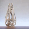 Open Voronoi Vase (Bình Voronoi Mở) - Thumbnail 1