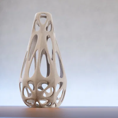 Open Voronoi Vase (Bình Voronoi Mở)