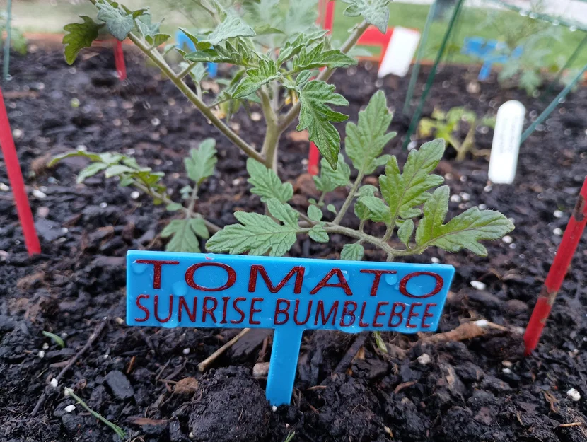 Cọc/Nhãn Cắm Vườn Đơn Giản (Simple Garden Stakes / Signs / Labels) - Image 1