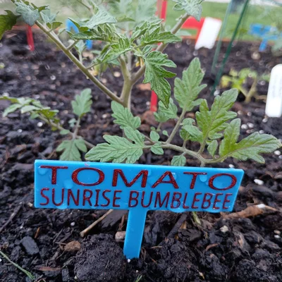Cọc/Nhãn Cắm Vườn Đơn Giản (Simple Garden Stakes / Signs / Labels)