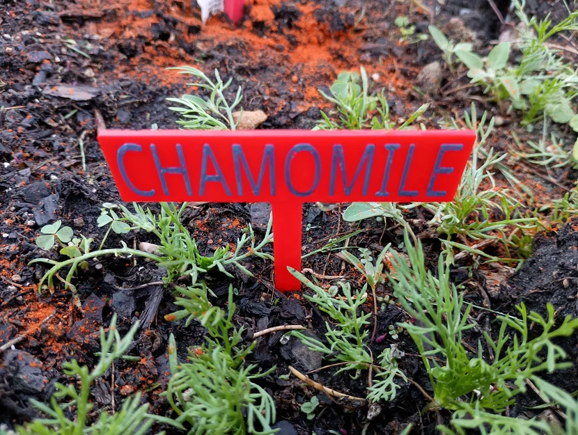 Cọc/Nhãn Cắm Vườn Đơn Giản (Simple Garden Stakes / Signs / Labels) - Image 2