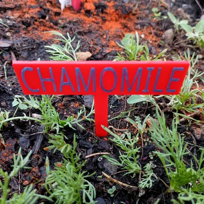 Cọc/Nhãn Cắm Vườn Đơn Giản (Simple Garden Stakes / Signs / Labels)