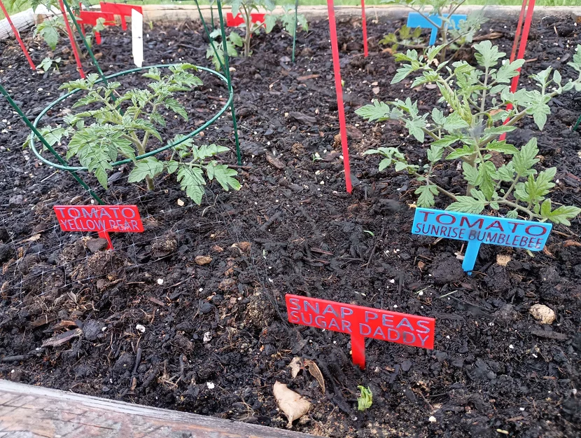 Cọc/Nhãn Cắm Vườn Đơn Giản (Simple Garden Stakes / Signs / Labels) - Image 4
