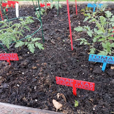 Cọc/Nhãn Cắm Vườn Đơn Giản (Simple Garden Stakes / Signs / Labels)