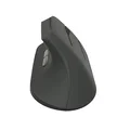 Chuyển đổi sang chuột công thái học (vertical) – CONVERSION A RATON ERGONOMICO - Thumbnail 10