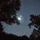 Random_user_1470868