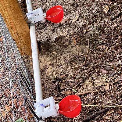 Giá giữ cốc nước cho gà (Chicken Waterer Cup Holder)
