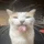goofball52_3058718