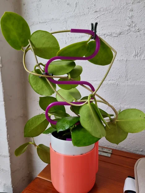 Cọc đỡ cây dạng rắn cho chậu (Pot Plant Snake Stake) - Image 1
