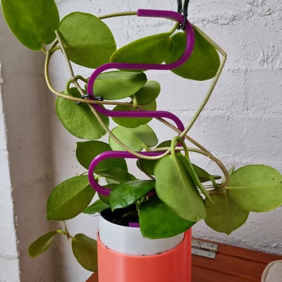 Cọc đỡ cây dạng rắn cho chậu (Pot Plant Snake Stake)