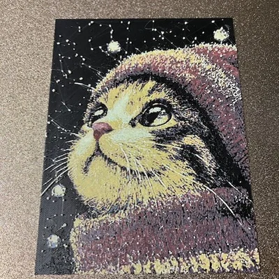 CuteCat – Mèo dễ thương ngước nhìn bầu trời đêm