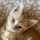KeithChristo_1501691