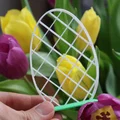 Trang trí Trứng Phục Sinh dạng Rectilinear (Rectilinear Easter Egg Decor) - Thumbnail 1