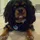 EliZetoony_3158871