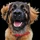 Edda_1717890