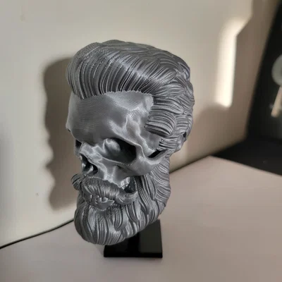 Mô hình hộp sọ phong cách sành điệu Hair Skull in 3D cực chất