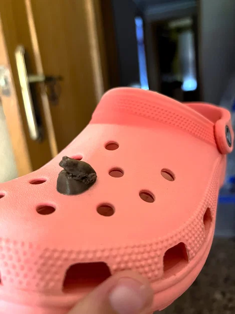 Frog Jibbitz Ngộ Nghĩnh: Thêm Chút Thiên Nhiên Cho Đôi Giày - Image 1