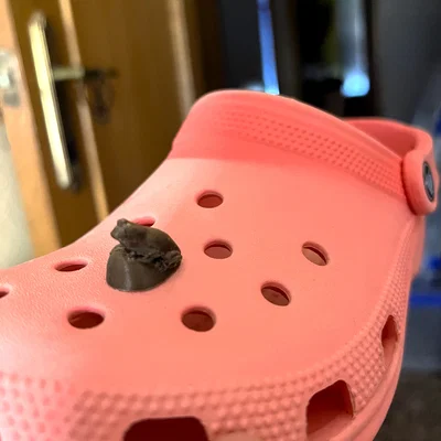 Frog Jibbitz Ngộ Nghĩnh: Thêm Chút Thiên Nhiên Cho Đôi Giày