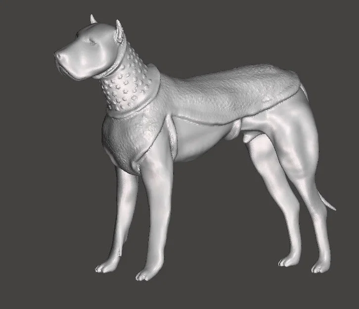 Chó chiến La Mã (Roman War dog) - Image 1