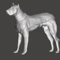 Chó chiến La Mã (Roman War dog) - Thumbnail 1