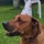 Pavel_2029770