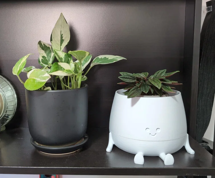 Chậu cây 3D Happy Pot có khay hứng nước - Thiết kế 2 phần tiện dụng - Image 1
