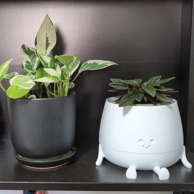 Chậu cây 3D Happy Pot có khay hứng nước - Thiết kế 2 phần tiện dụng