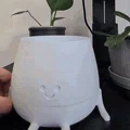 Chậu cây 3D Happy Pot có khay hứng nước - Thiết kế 2 phần tiện dụng - Thumbnail 3