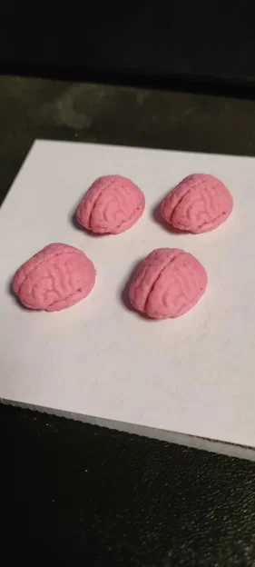 Mô hình bộ não thu nhỏ 3D trang trí độc đáo - Image 1