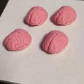 Mô hình bộ não thu nhỏ 3D trang trí độc đáo - Thumbnail 1