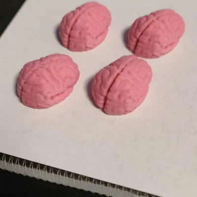 Mô hình bộ não thu nhỏ 3D trang trí độc đáo