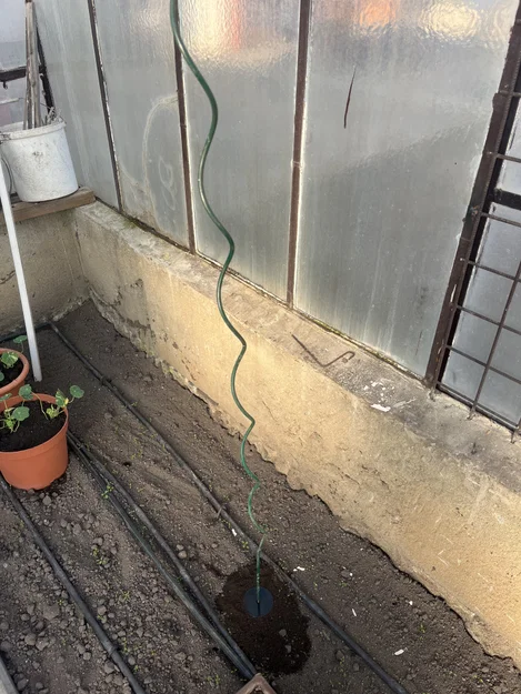 Đế tăng ổn định cho spiral cà chua làm vườn - Image 1