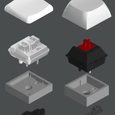 Socket switch MX/CHOC có hotswap